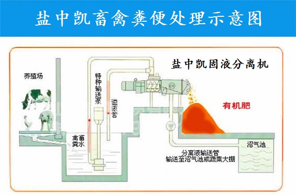 小优短视频网站