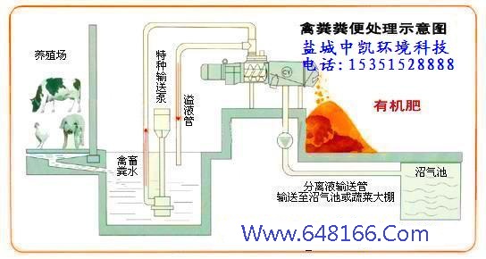 小优短视频网站示意图